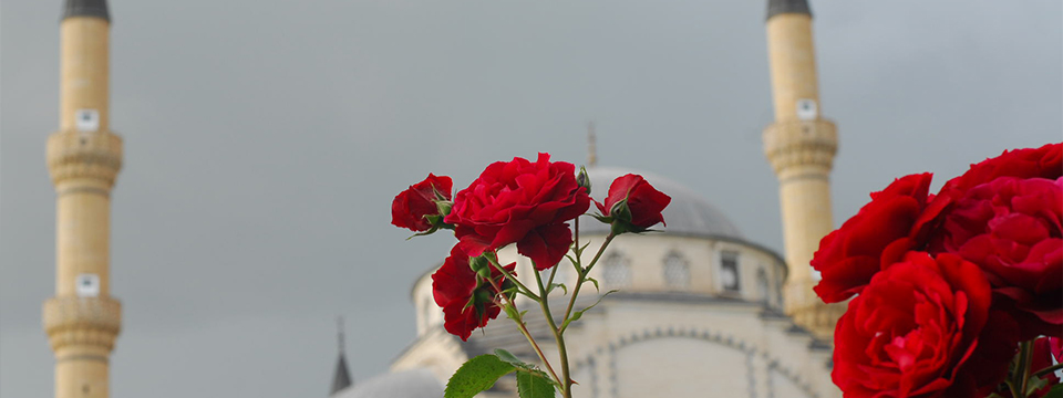 Poslanikova porodica je kao Nuhova lađa