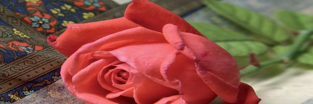 Fadileti mjeseca Ramazana