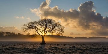 Da li si mrtav ili si živ?