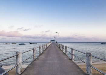 Dunjalučka i ahiretska pamet