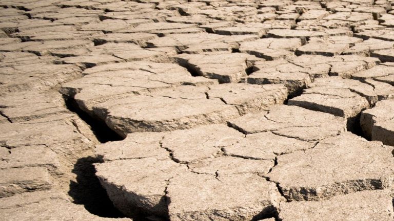 Kada riječi ne odražavaju stanje srca…